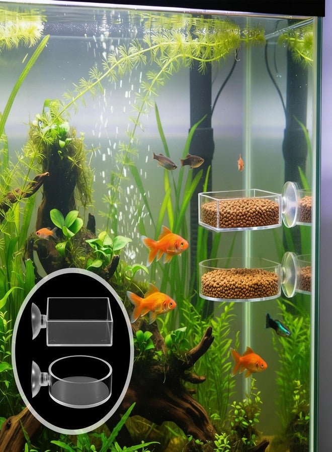 Zelphvt 2Pcs Shrimp Feeding Dish, Aquarium Feeding Dish with Suction Cup Acrylic Fish Food Feeder for Freshwater and Saltwater Tanks Round and Square - Image 5